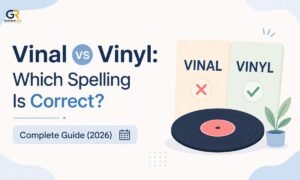 vinal-vs-vinyl-which-spelling-is-correct-complete-guide-2026