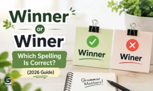 winner-or-winer-which-spelling-is-correct-2026-guide
