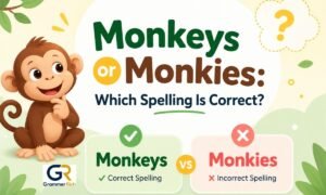 Monkeys or Monkies Which Spelling Is Correct