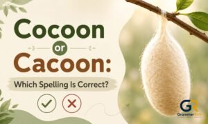 cocoon-or-cacoon-which-spelling-is-correct