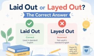 Laid Out or Layed Out The Correct Answer