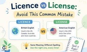 Licence vs License Avoid This Common Mistake