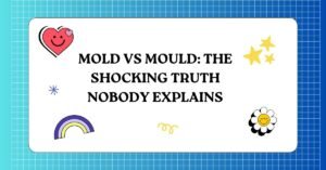 Mold vs Mould The Shocking Truth Nobody Explains